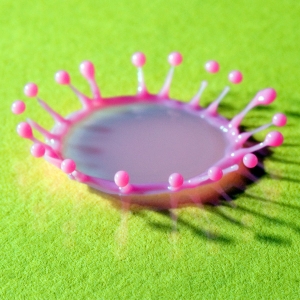 SGI New York’s Treasure Tower Project